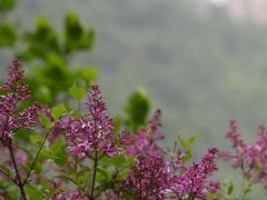 -云蒙山风景区