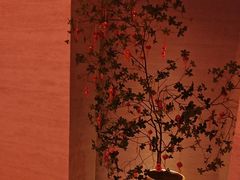 -舒小悦·舒养SPA·古法推拿(光环中心店)