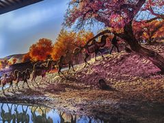 -新疆阿卜杜拉烧烤餐厅(四方坪店)