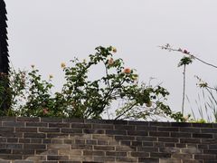 -芙蓉街-王府池子