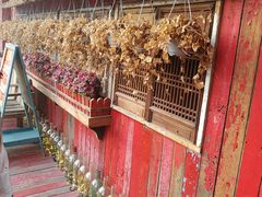 -房子红了鱼豆花重庆老火锅(广厦学院店)