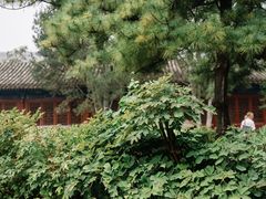 -大钟寺古钟博物馆