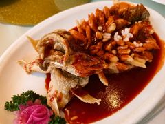 -得月楼·省级非遗·传统苏帮菜(观前店)