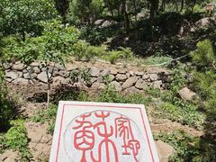 -阳台山自然风景区