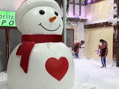 -世界之窗阿尔卑斯冰雪世界
