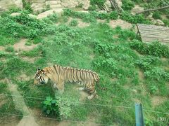 -大连森林动物园