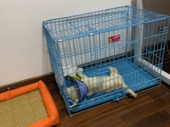 -联合动物医院(光谷诊疗中心)