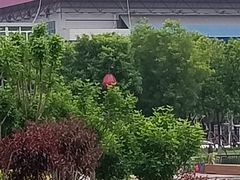 -保定市动物园