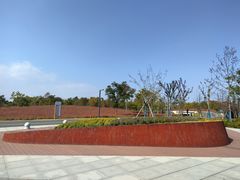 -上海滨江森林公园