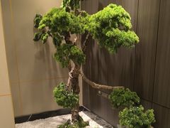 -刘胖子家常菜·蹄花焖藕(富安街店)