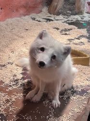 -Zoolung Zoolung动物主题公园(海信广场店)