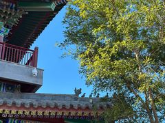 -天津妈祖文化园