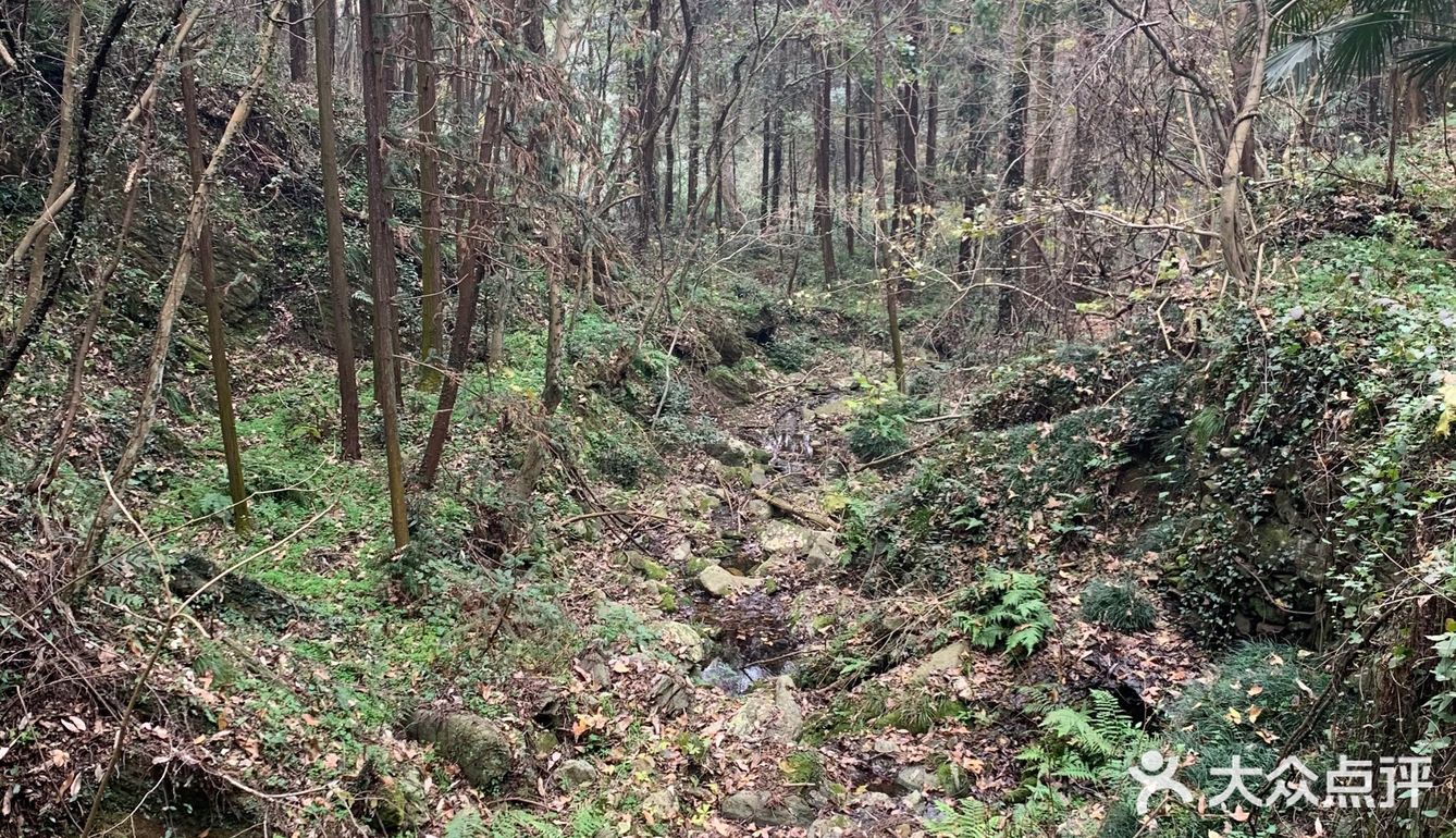 对于这个山，那就真的个野字，野生停车场，野生楼梯