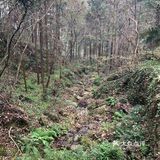 对于这个山，那就真的个野字，野生停车场，野生楼梯