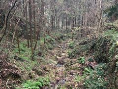 -素山寺森林公园