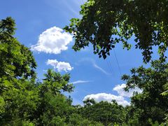 -云岫谷游猎自然风景区