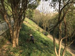 -西湖风景区-江洋畈生态公园