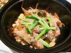 -花城苑广府菜(侨鑫店)