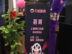 -大地影院(上海南汇店)