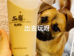 -悠尼宠物·独立低压伊珊娜洗护·美容·寄养(兰谷路店)