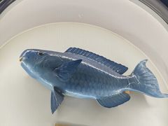 -陕西自然博物馆