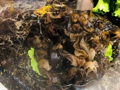 -刘幺八东北铁锅炖