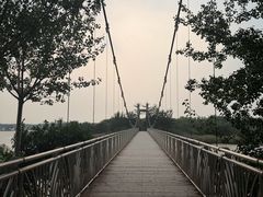 -西青郊野公园