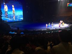 -广州长隆国际大马戏