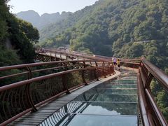 -少华山国家森林公园