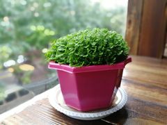 -木辛水水冰煮羊(凤城六路店)