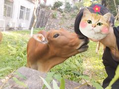 -华农酸奶文化馆