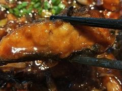 -Local泰莲庭(虹鳟鱼店)