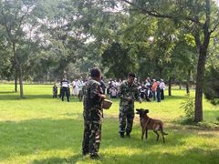 -北京京卫宠物寄养训练中心