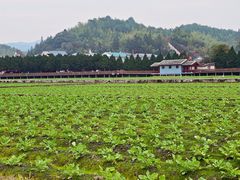 -古田会议纪念馆