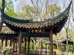 -上海佘山国家森林公园天马山园