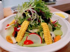 蔬菜沙拉-Hatsune隐泉日式料理(SKP店)