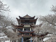 -锡和无锡菜·三白油条(景丽苑店)