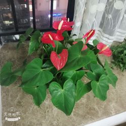点击看大图 -苗苗清肤皮肤护理中心