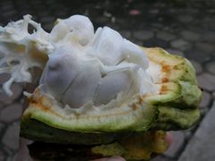 -三亚凤凰水城凯莱度假酒店