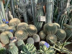 -国家植物园南园