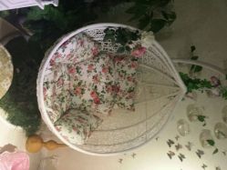 android_upload_pic-克丽缇娜