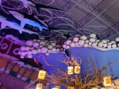 -烟台海昌鲸鲨海洋公园