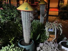 -山菌美食苑(振兴路店)