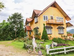 -黄色小屋