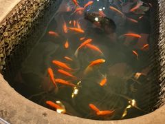 -黄家码头老火锅(解放碑旗舰店)