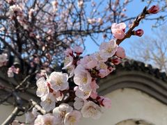 -北京鹫峰国家森林公园