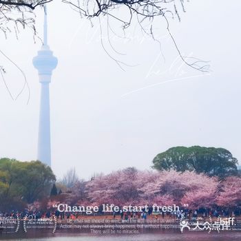 樱花都开了，建议大家这两周尽快去拍照吧，如果有风的话