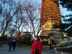-玲珑塔公园