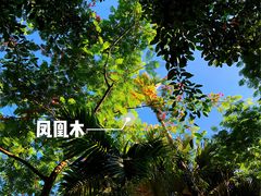 -呀诺达热带雨林