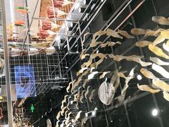 -好彩猪肚鸡(正弘城店)